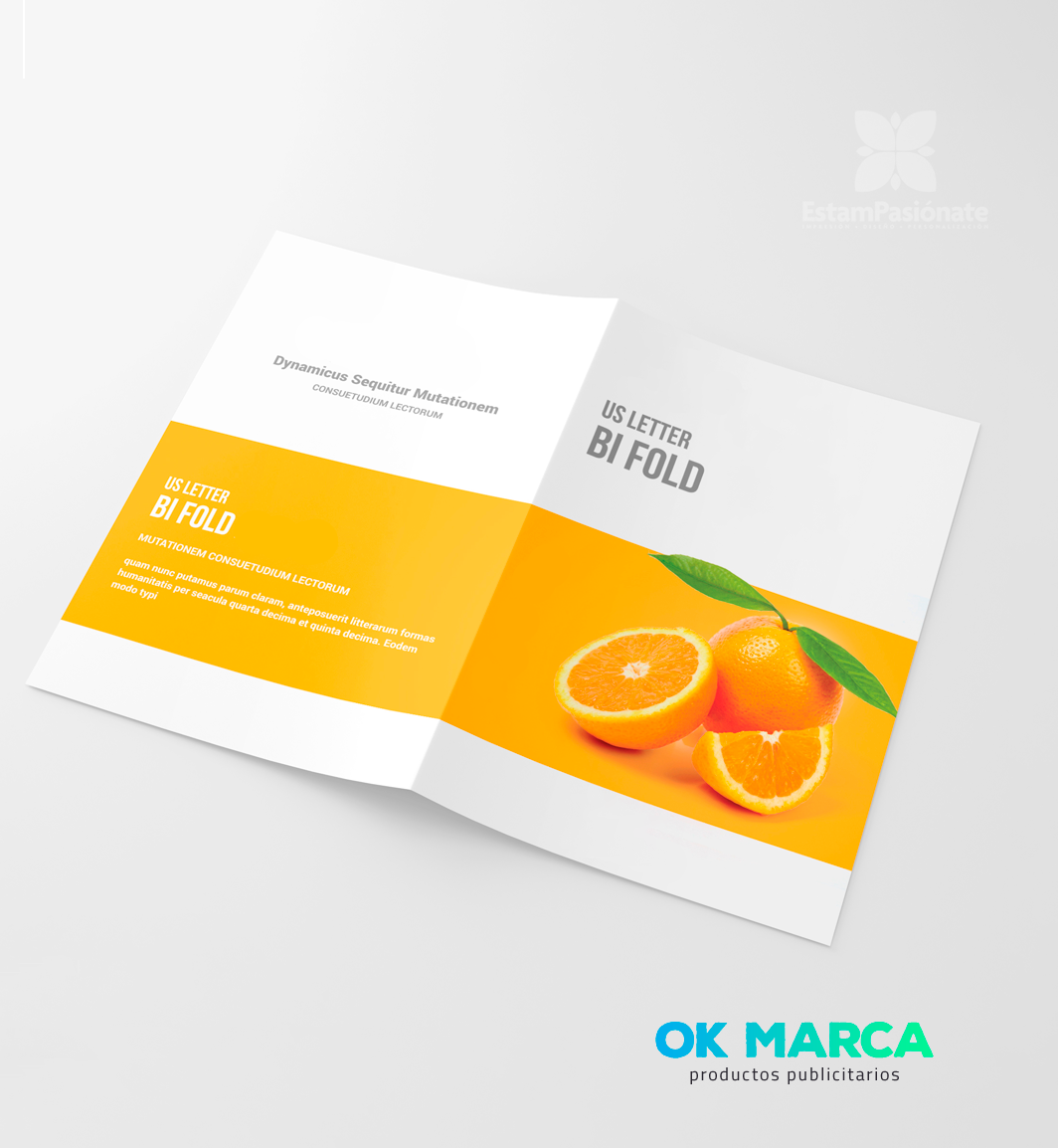 Carpetas Corporativas (10 unidades)